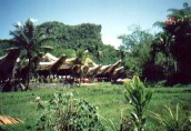 Tanah Toraja village